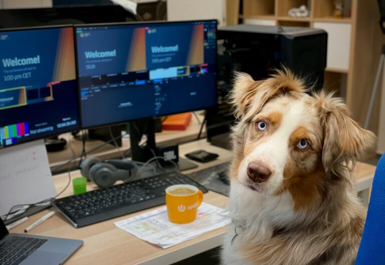Hund på jobbet